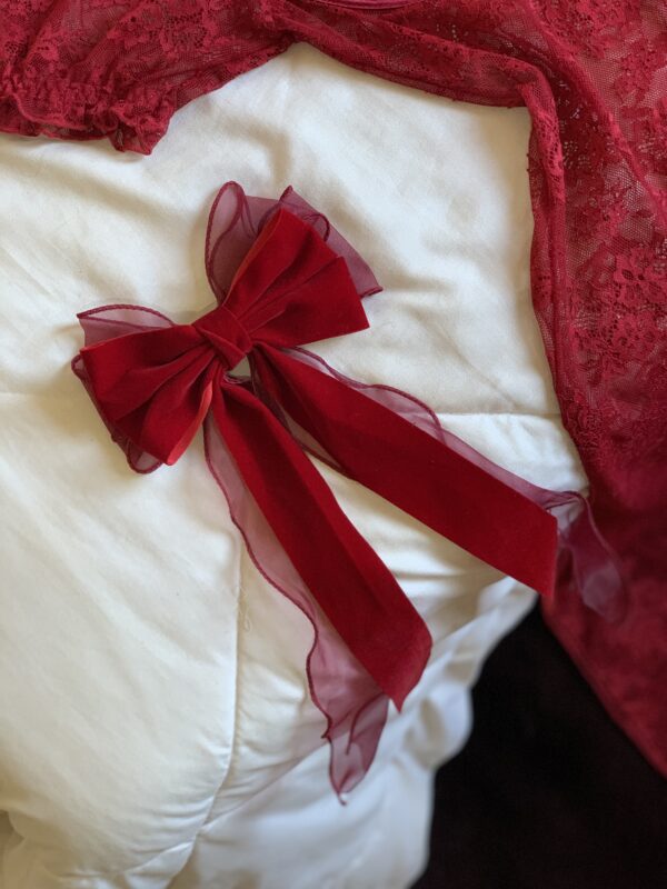 Papillon rouge